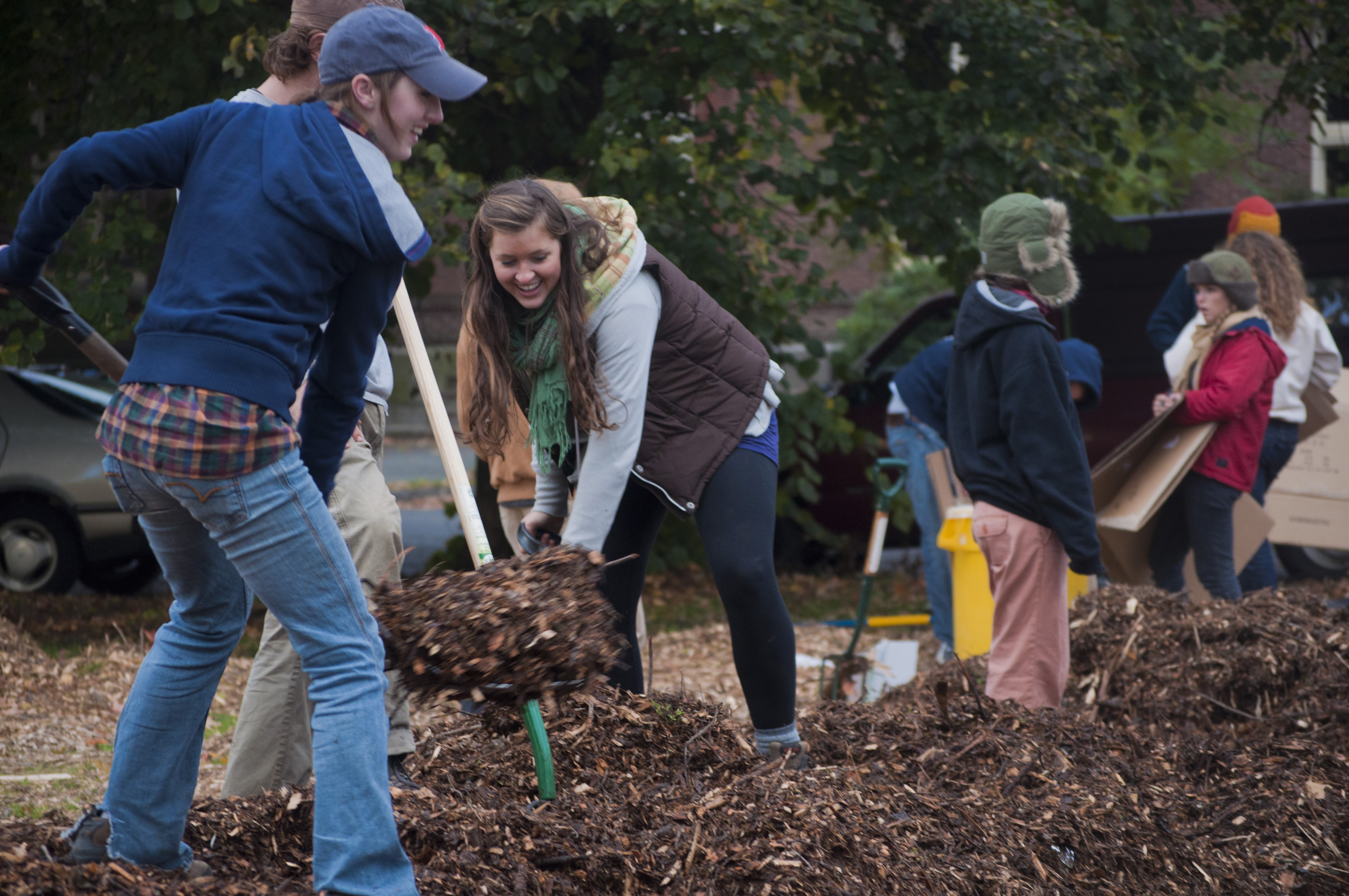 5 - add mulch layer (wood chips) 3